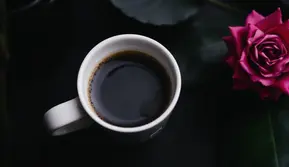 Optimalkan Potensi Kopi untuk Kesehatan, Pakar Spill Cara Mengolah dan Waktu Konsumsi yang Tepat