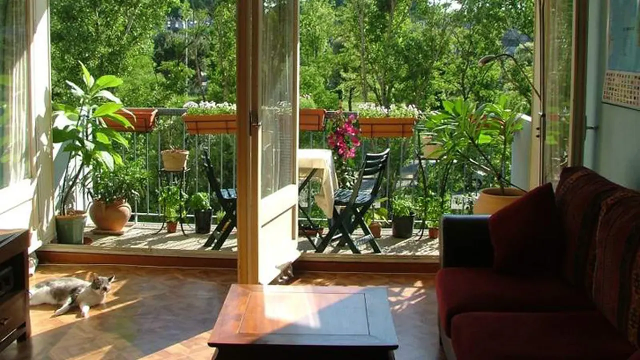 20170420-tips berkebun di apartemen-rumahcom-boy