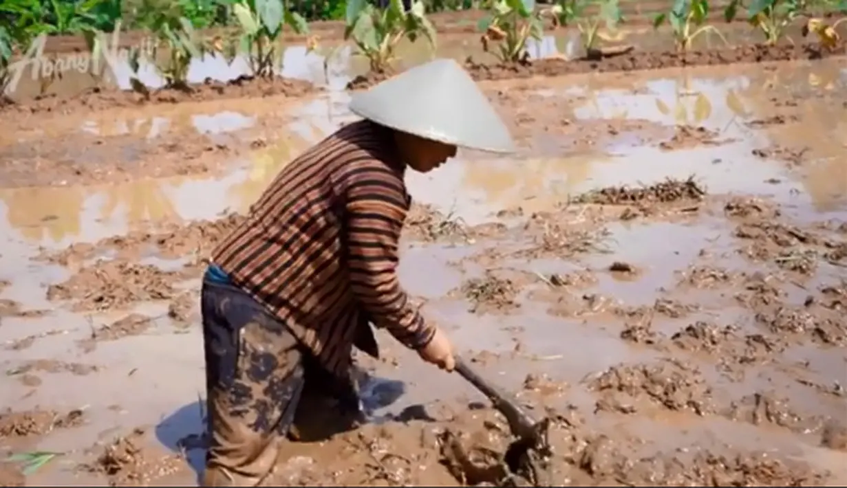 Narji ke sawah (Youtube/Abang Narji)