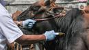 Tim dokter dari Sudin KPKP Jakarta Timur menyuntikan vitamin kepada hewan kurban di Jalan I Gusti Ngurah Rai, Jakarta, Kamis (15/7/2021). Pemeriksaan untuk menjamin kepada masyarakat bahwa hewan kurban yang dijual telah memenuhi syarat kesehatan. (merdeka.com/Iqbal S. Nugroho)