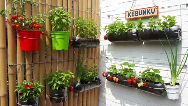 Model Kebun Mini untuk Anak-anak Belajar Berkebun di Rumah