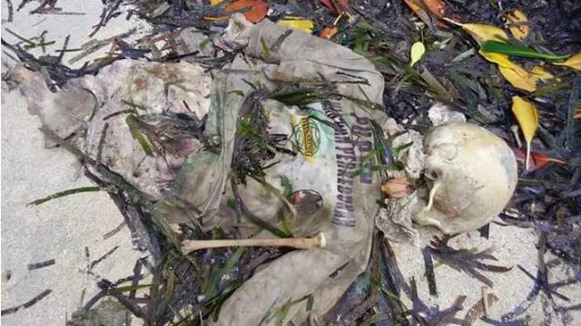 Geger Tengkorak Misterius 'Berbaju Perkebunan' di Pulau Terluar Sulsel