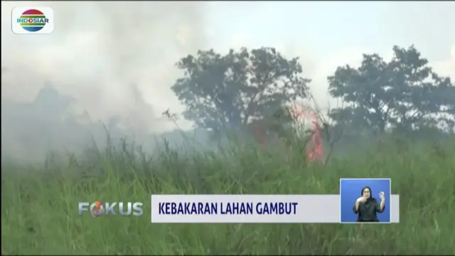 Petugas pemadam kebakaran berjuang padamkan api di lahan gambut Gunung Lingai, Samarinda.