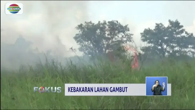 Lahan Gambut di Samarinda Terbakar, Api Menuju ke Permukiman
