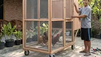 9 Model Kandang Ayam Vertikal 2 Tingkat untuk Lahan Terbatas, Lebih Mudah Diurus