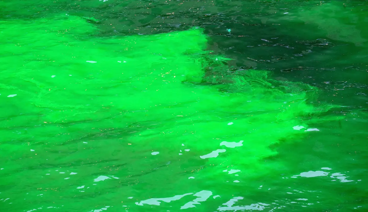 Pemandangan dari air sungai Chicago yang berubah warna menjadi hijau di Illinois, Sabtu (17/3). Hari raya Santo Patrick diperingati setiap tanggal 17 Maret yang diidentikkan dengan warna hijau. (Scott Olson/Getty Images/AFP)