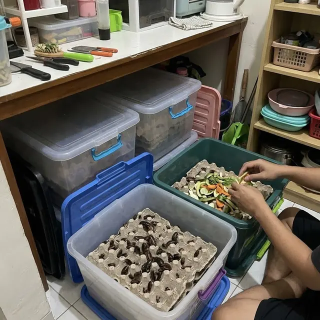 Usaha Ternak untuk Rumah Tipe 36