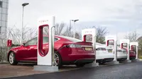 CEO Tesla Motors segera turun tangan menghubungi Perdana Menteri Singapura untuk meninjau kasus itu.