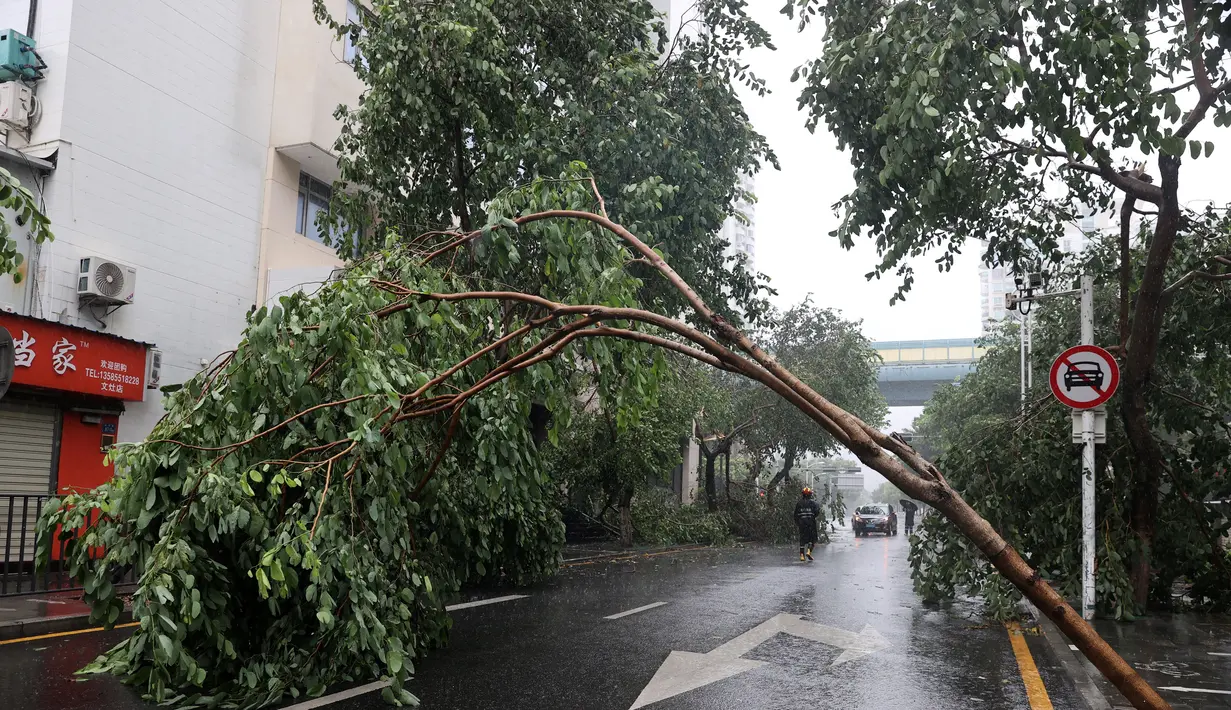 Topan Doksuri telah melanda provinsi Fujian di tenggara China, menyebabkan hujan lebat dan hembusan angin kencang yang melecut kabel listrik yang memicu kebakaran, menumbangkan pohon, dan memaksa pabrik dan pusat perbelanjaan tutup. (STR/AFP)