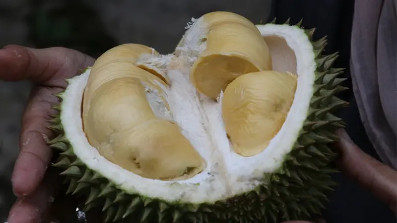 durian