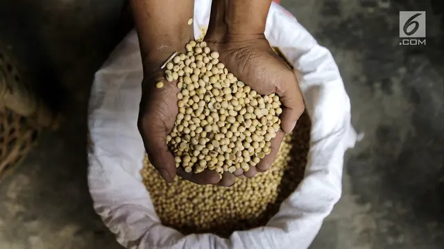 Rupiah Melemah, Harga Kedelai Merangkak Naik