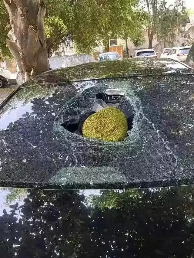 6 Momen Apes Kaca Mobil Pecah Ketiban Benda, Sial Banget