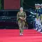 Puan Maharani Tampil Memikat Berkebaya Hijau Olive di Sidang Tahunan MPR 2026