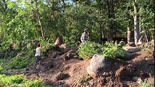 Warga Watudiran NTT terpaksa naik pohon atau batu besar demi mendapatkan sinyal. (Foto: Liputan6.com/Dionisus Wilibardus)