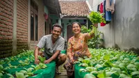 Cara Bikin Kebun Sawi Hijau di Polybag Panen 30 Hari, Cocok Ditanam di Pekarangan Kecil
