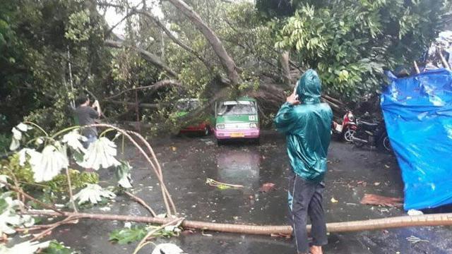 Puting Beliung Terjang Bogor Pohon Tumbang Timpa Mobil News Liputan6 Com