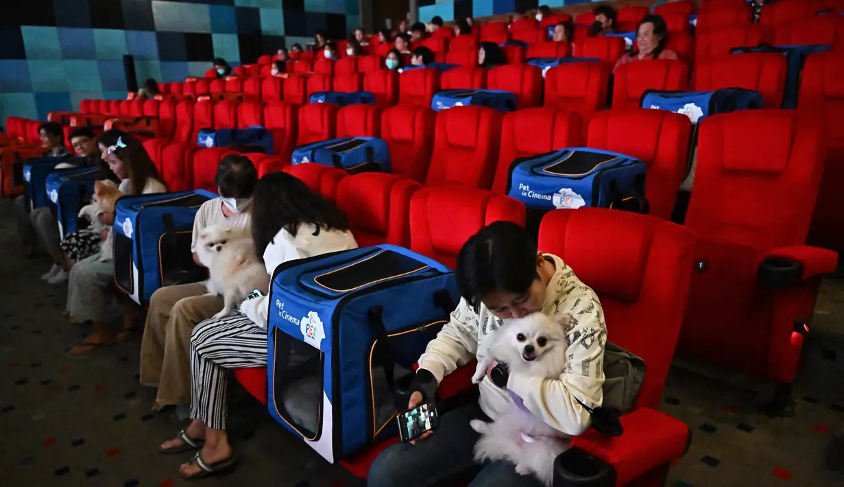 Hewan-hewan tersebut harus mengenakan popok dan duduk di dalam tas sementara suara dan pencahayaan disesuaikan untuk kenyamanan mereka, kata juru bicara Major Cineplex, Narute Jiensnong. (Lillian SUWANRUMPHA / AFP)