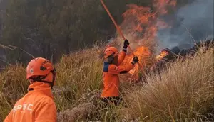 Kondisi Terkini 2 Petugas Korban Karhutla Bromo
