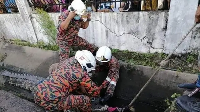 Viral Buaya 800 Kg Ditemukan di Selokan, Bikin Geger Warga
