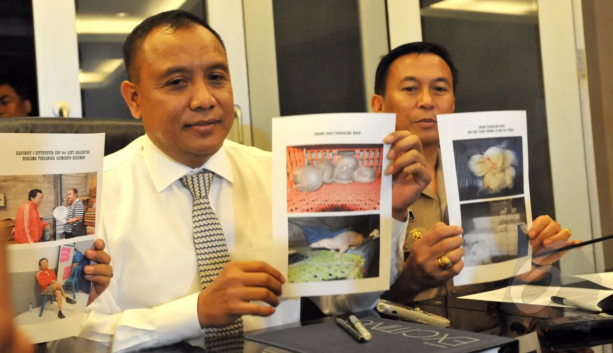 Dittipidter Brigjen Pol. Yazid Fanani (kiri) memperlihatkan foto bergambar trenggiling yang akan diseludupkan ketika rilis pengungkapan kasus tersebut di Bareskrim Mabes Polri, Jakarta, Senin (27/042015). (Liputan6.com/Andrian M Tunay)