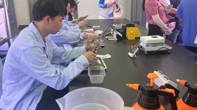 Laboratorium dan pusat riset di Kota Sanya, Hainan, China.