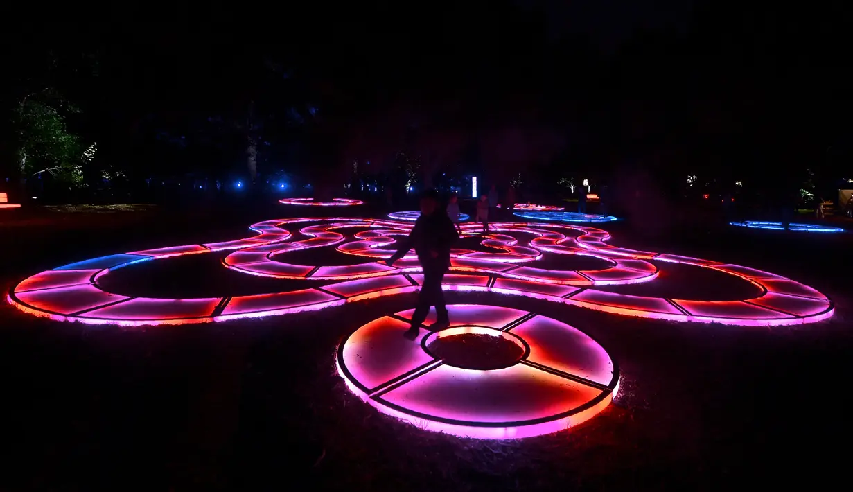 Anak-anak menikmati intalasi rumput "Hutan Bercahaya" di Taman Descanso, Los Angeles, Senin (17/12). Pengunjung bisa melihat atraktif lampu dan karya seni ilumnasi dengan cahaya di taman tersebut. (Frederic J. BROWN / AFP)