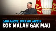 korut vaksin