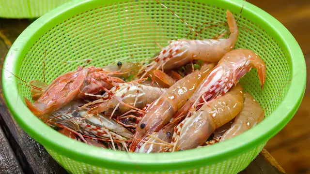 Budidaya Udang Windu