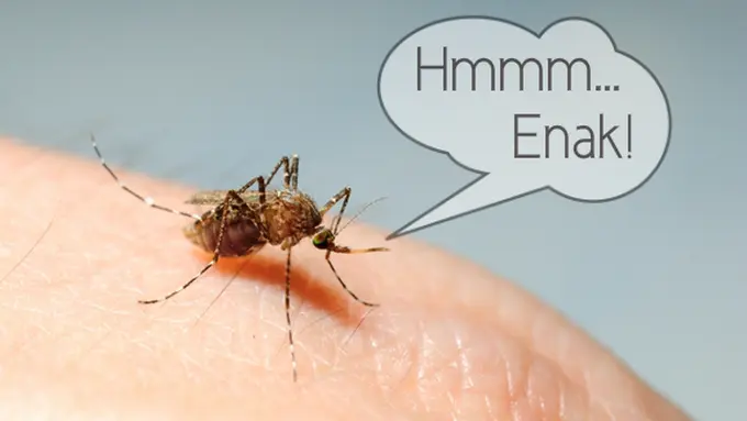 copyright by Shutterstock.com