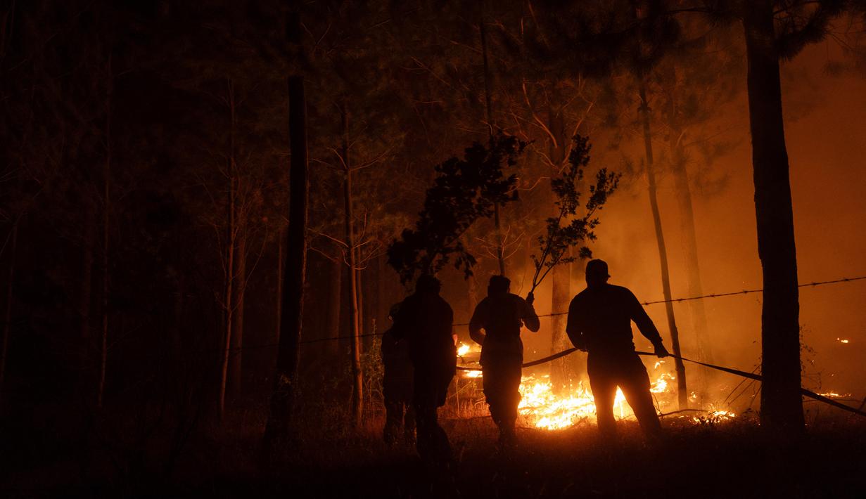 Sementara, lebih dari 50.000 warga terpaksa mengungsi akibat kebakaran ini. Tampak dalam foto, warga berusaha memadamkan vegetasi yang terbakar selama kebakaran hutan di kota Florida dekat kota Concepcion, Chile, pada Senin 19 Januari 2026. (Raul BRAVO/AFP)