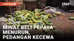 MENURUNNYA MINAT PEMBELI SERTA HARGA JUAL ANJLOK, PEDAGANG PEPAYA KECEWA BUANG KE JALAN