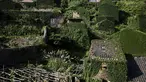 Pemandangan rumah-rumah  yang tertutup tanaman di sebuah desa yang sudah ditinggalkan penghuninya, di Houtouwan, pulau Shengshan, China, 26 Juli 2015. Desa ini dulunya dihuni lebih dari 2.000 nelayan. (REUTERS/Damir Sagolj)