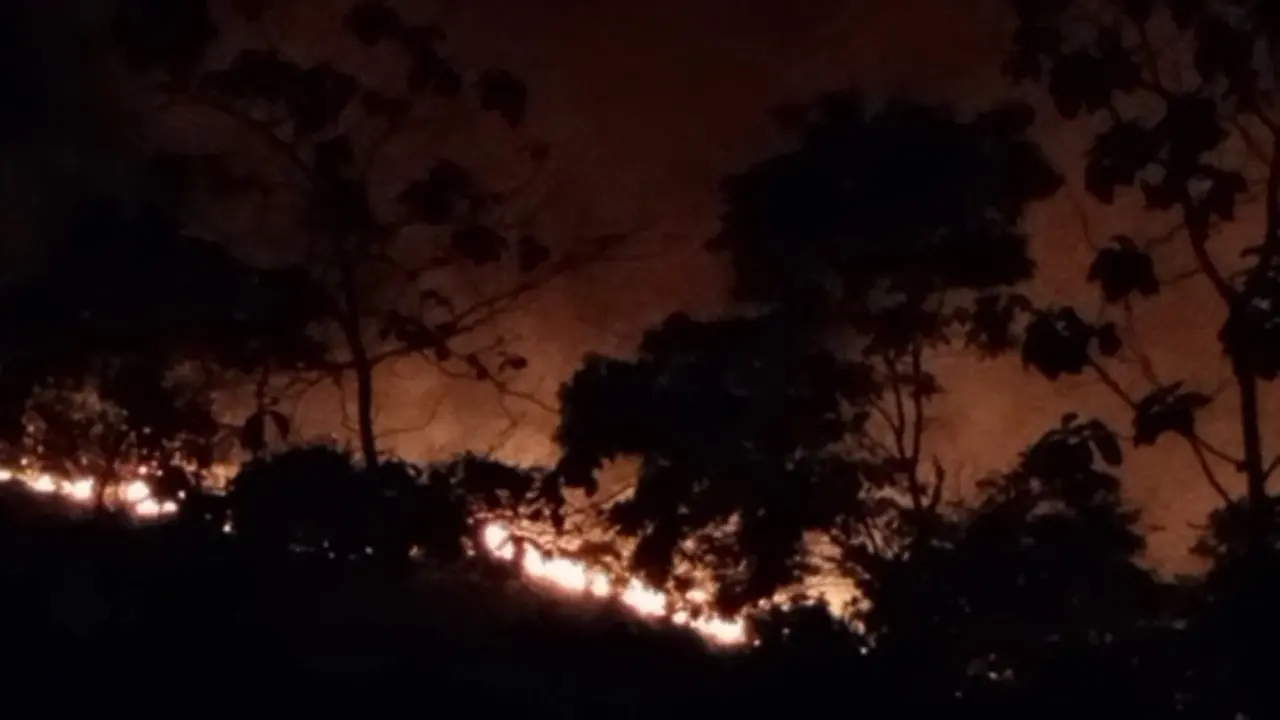 kebakaran hutan menghanguskan 50 hektar semak belukar di wikayah Puriala, Kabupaten Konawe sulawesi Tenggara, Senin (16/1/2023).(Liputan6.com/Ahmad Akbar Fua)