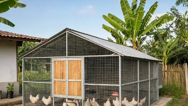 Desain Kandang Ayam Postal Baja Ringan (AI)