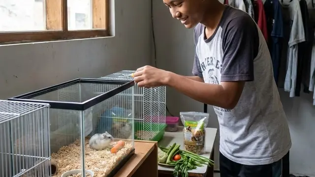 Ide Usaha Ternak untuk Anak Sekolah