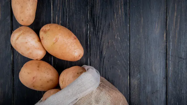 Gambar Ilustrasi Ubi Jalar