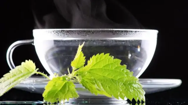 Foto: copyright thinkstockphotos.com