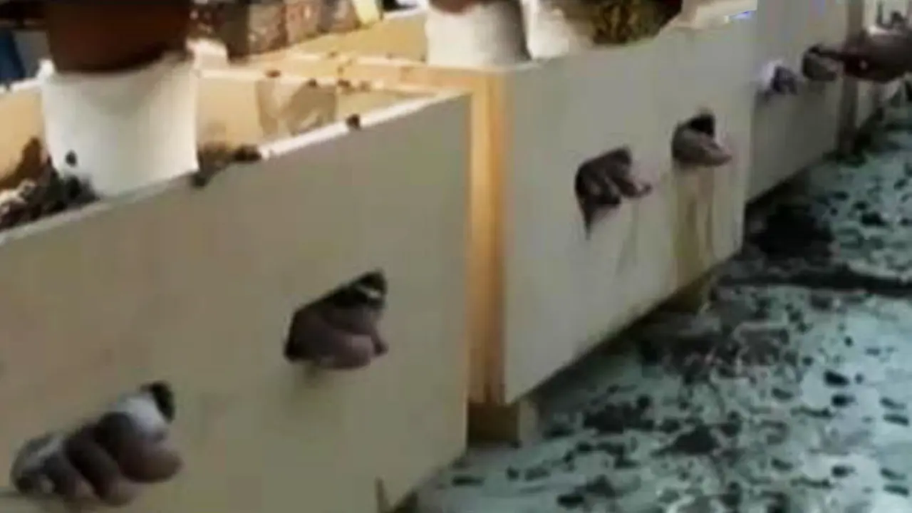 VIDEO: Tolak Pabrik Semen, Petani Cor Kedua Kaki di Depan Istana