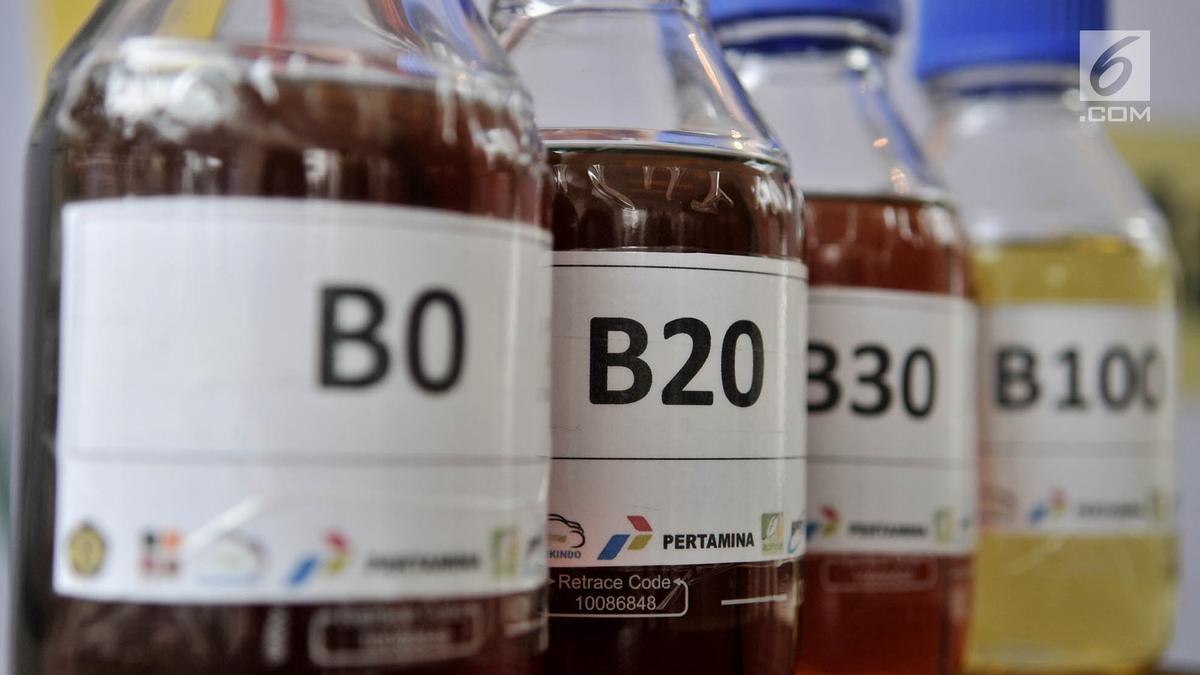 Indonesia Gali Potensi Penggunaan Biodiesel B40 untuk Kapal Militer
