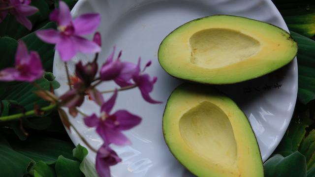 Ilustrasi buah alpukat