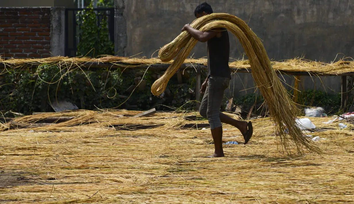 Seorang pekerja mengeringkan rotan untuk diekspor di sebuah bengkel di Banda Aceh  (16/10/2019). Setiap tahunnya, 	Aceh mampu memproduksi sekitar ratusan ribu ton rotan. (AFP Photo/Chaideer Mahyuddin)