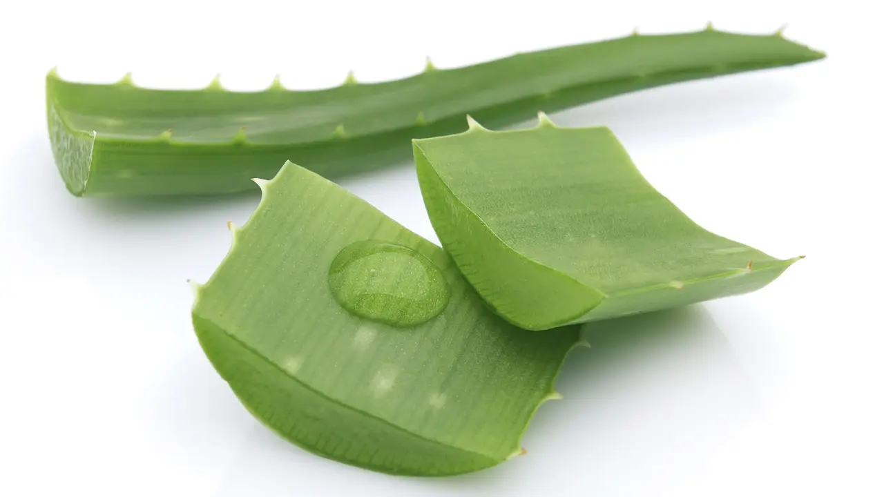 5 Kesaktian Lidah Buaya Untuk Kecantikan 