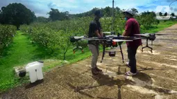 Petani menyiapkan drone untuk terbang menyemprotkan pupuk mikro pada lahan jambu kristal di pusat pengembangan pertanian Agribusinnes and Technology Park (ATP) IPB University, Dramaga, Kabupaten Bogor, Jawa Barat, Jumat (17/2/2023). Penggunaan drone tersebut untuk membantu meningkatkan hasil produksi jambu kristal serta efisiensi tenaga dan waktu. (merdeka.com/Arie Basuki)