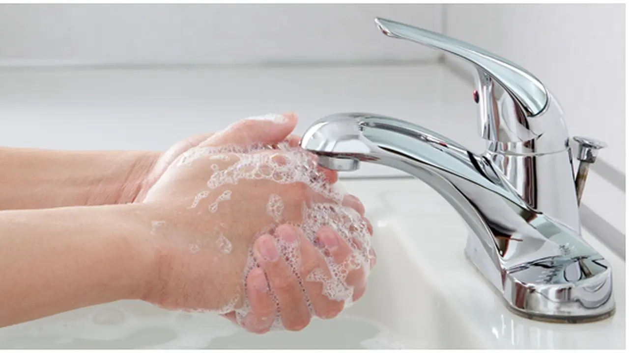copyright by Shutterstock.com