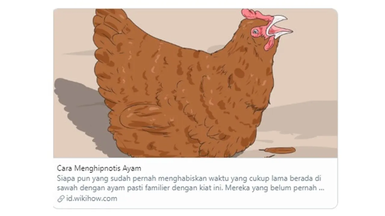 6 Tutorial di Wikihow Ini Nyelenehnya Bikin Tepuk Jidat