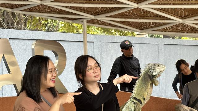 Promo dan Ragam Aktivitas di Taman Burung dan Museum Komodo di TMII Sepanjang Libur Nataru, Bisa Beri Makan Pelikan