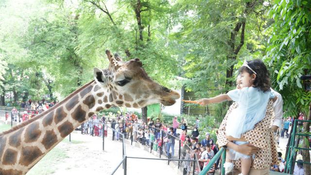 Kebun Binatang Surabaya (KBS)