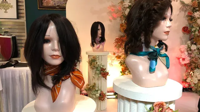 Ilustrasi wig.