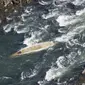 Foto yang diambil dari helikopter Kyodo News memperlihatkan perahu wisata kayu tradisional yang terbalik di Sungai Hozu di Kameoka, Prefektur Kyoto, pada 28 Maret 2023. (Sumber: Kyodo News)