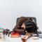 Seorang perempuan tertidur di atas meja kerjanya (Foto Dok: Freepik/stockking).